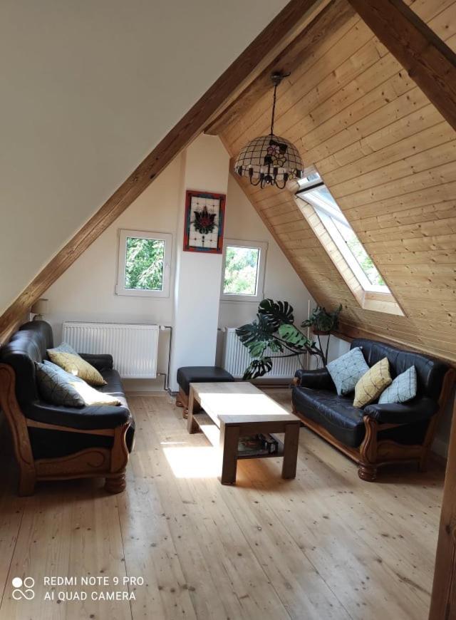 Art-House 4 Attic Apartment Decin Extérieur photo